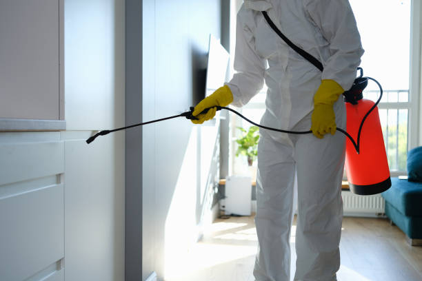Best Residential Mold Removal  in Eastwood, MI