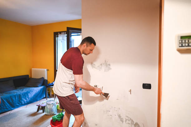 Best Fast Mold Removal  in Eastwood, MI
