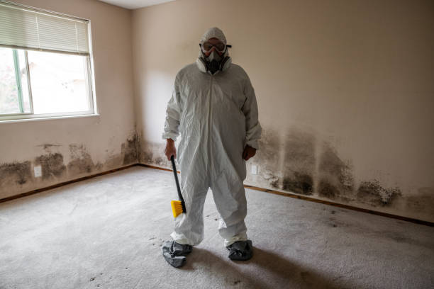 Best Certified Mold Removal  in Eastwood, MI